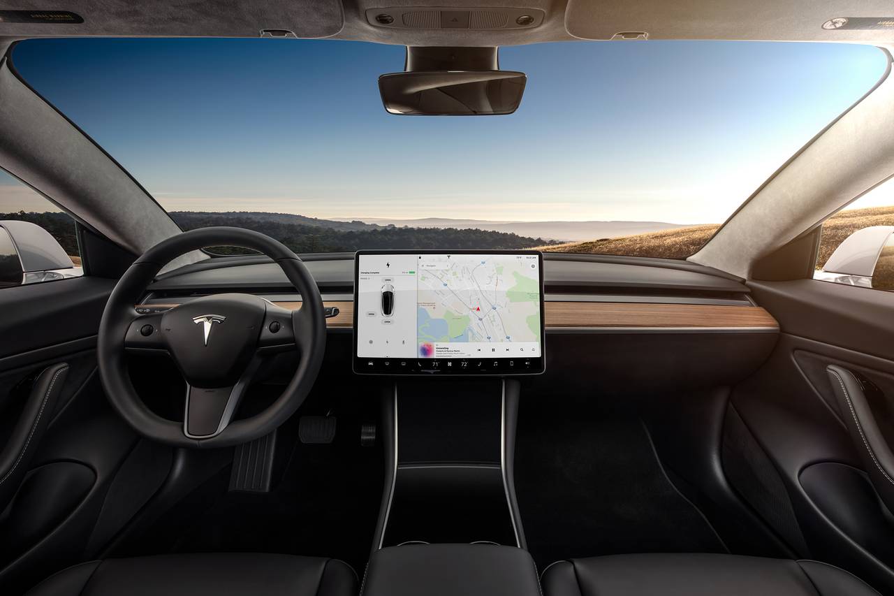 Driver inside a Tesla